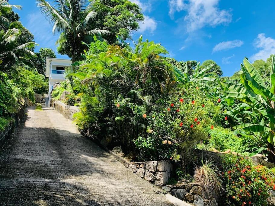 Crystal Apartments Seychelles Seaview Upper Floor Гласи Экстерьер фото